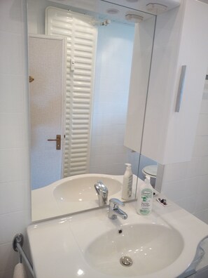 Articles de toilette écologiques, sèche-cheveux, savon, papier toilette