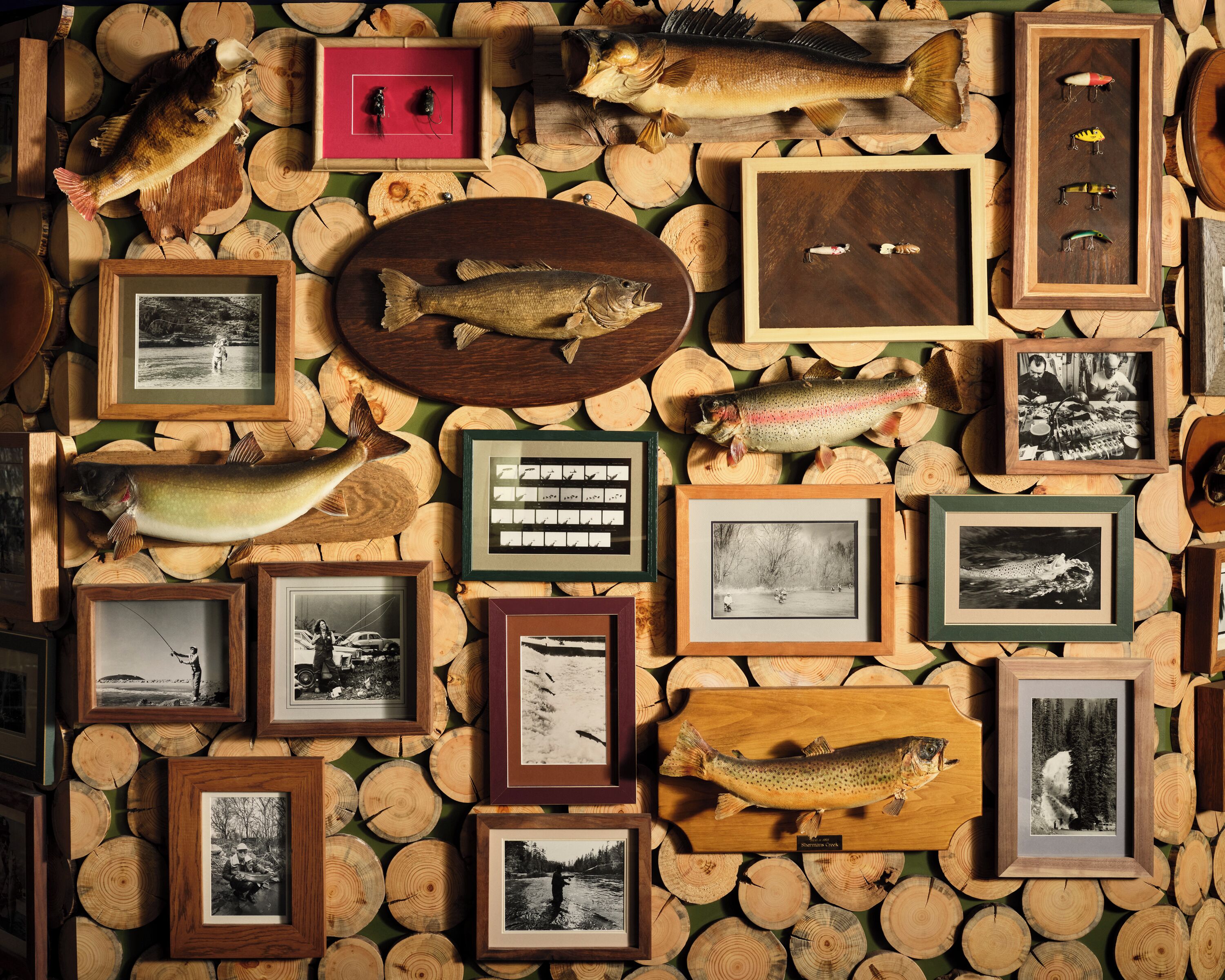 A wall decorated with framed photographs and mounted fish, surrounded by wooden logs.