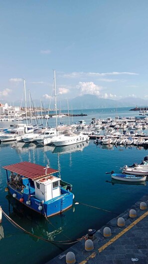 A marina with various boats docked, a blue boat with a red roof in the foreground, and a mountainous landscape in the background. - B&B Phoenix (Torre del Greco)