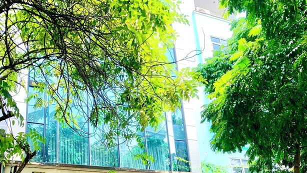 Exterior del hotel Bach Duong, con entrada despejada, escalones que conducen a la entrada y un paraguas con la marca Coca-Cola.