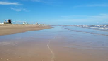 Playa en los alrededores, camastros y toallas de playa