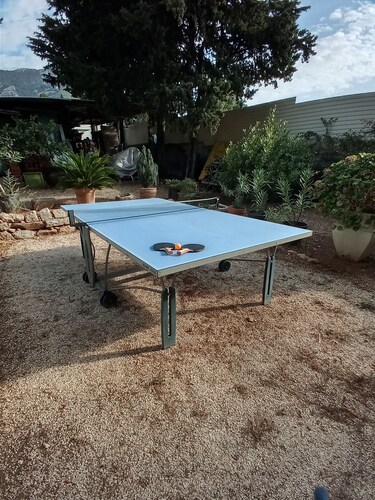 Studio 28 m square, garden level, no works.