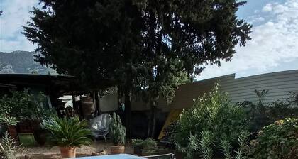 Studio 28 m square, garden level, no works.