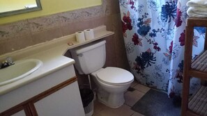 Bathroom features a sink, toilet, and shower area with a mirror above the sink.