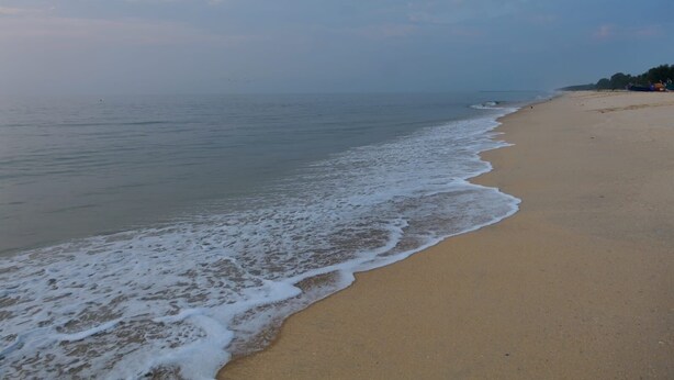 A beach with a sandy shore and gentle waves. - Dolphin turf  - Beach front cottage, relaxing on the wide white sandy beach  (Cherthala)