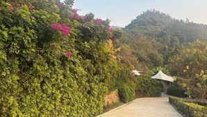 المنطقة المحيطة بالمنشأة