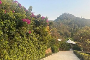 Un sendero que atraviesa un jardín exuberante, con follaje denso y flores rosadas.