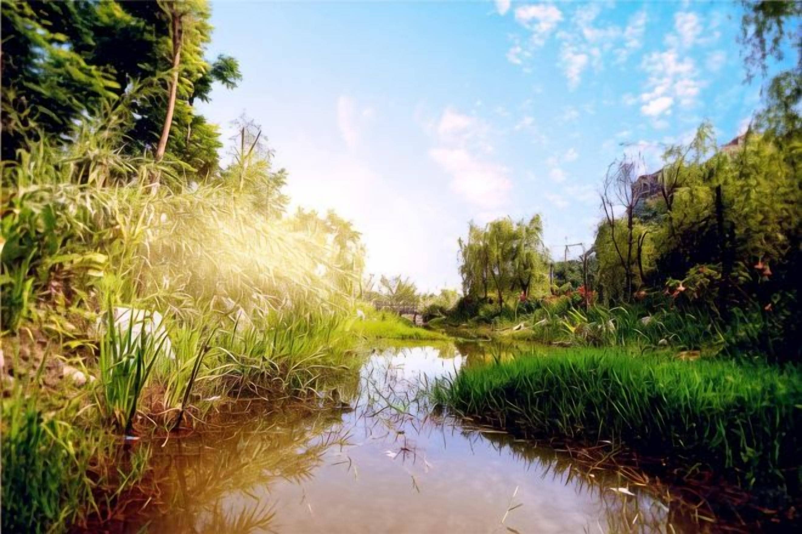 Paesaggio naturale con specchio d'acqua, vegetazione e alberi.