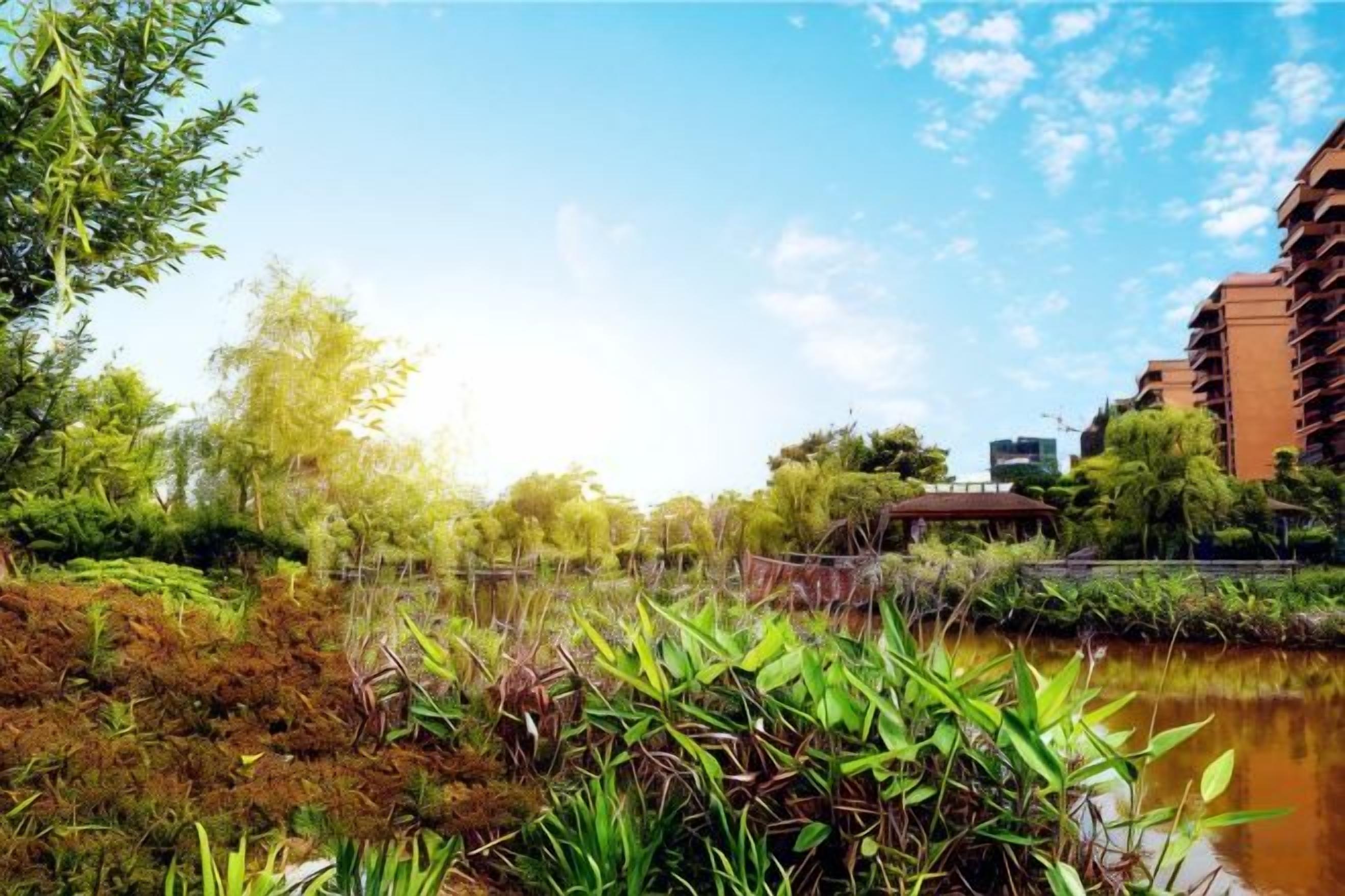 A natural landscape with a body of water, dense vegetation, and a bridge.