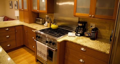 Boston's historic South End! Centrally located, cozy, 2BR condo with AC, WiFi!