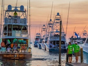 Marina - VillaLargo-Steps to Pool/Lake Views/Cart to Beach (Miramar Beach)