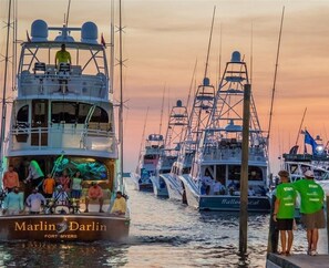 A marina with multiple boats docked, including a prominent 'Marlin Darlin' boat.