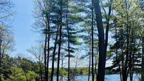 Una vasca idromassaggio circondata da alberi e da un lago.