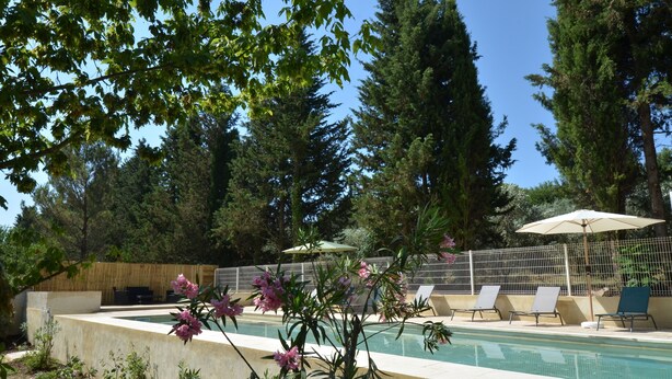 Una piscina con sillas de descanso y sombrillas, rodeada de altos árboles y una valla de madera.