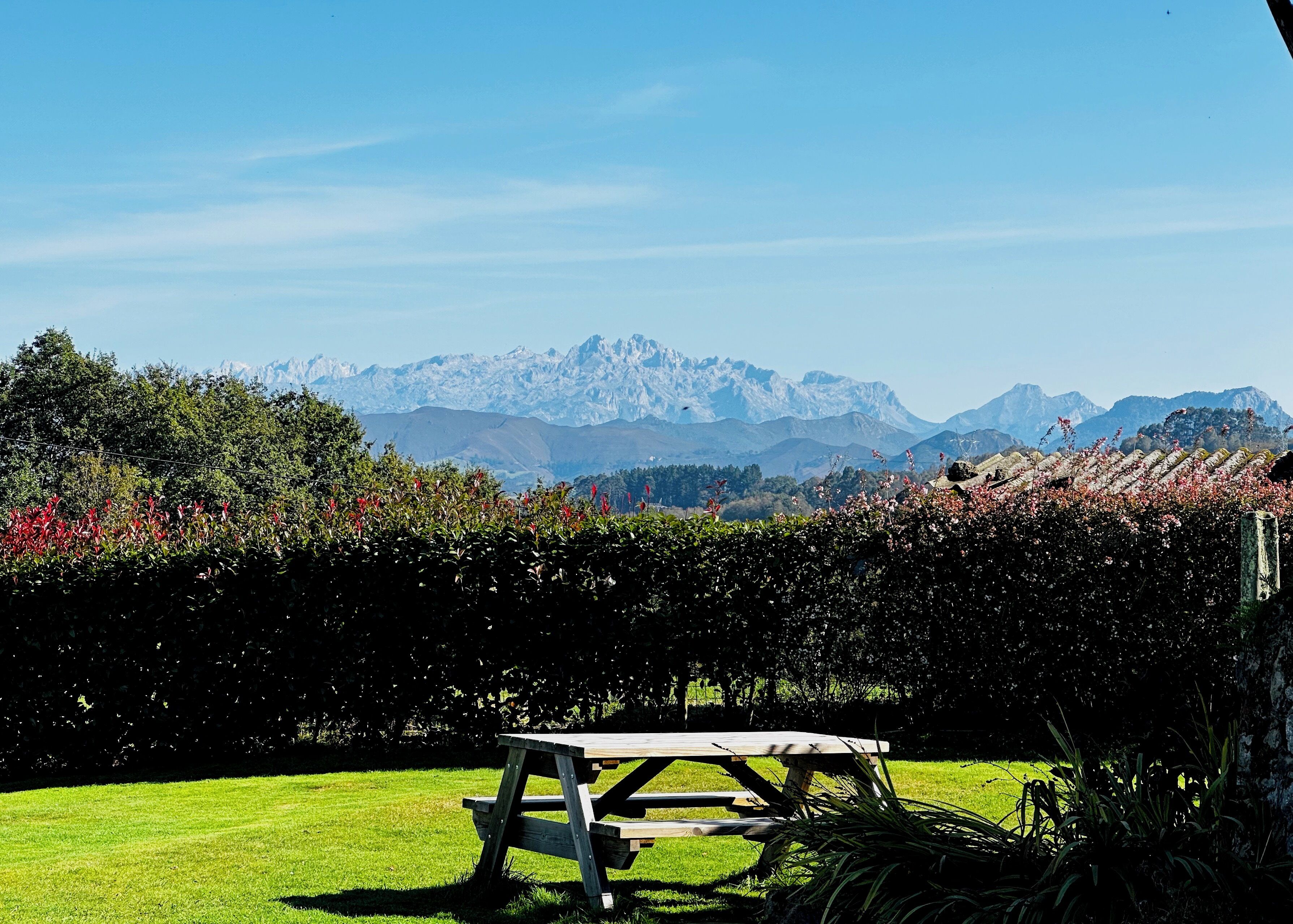 A picnic table in a grassy area with a mountain backdrop.