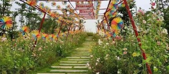 Homeinns Neo Wuhu Wanzhi XinwuDevelopment Zone Hotel