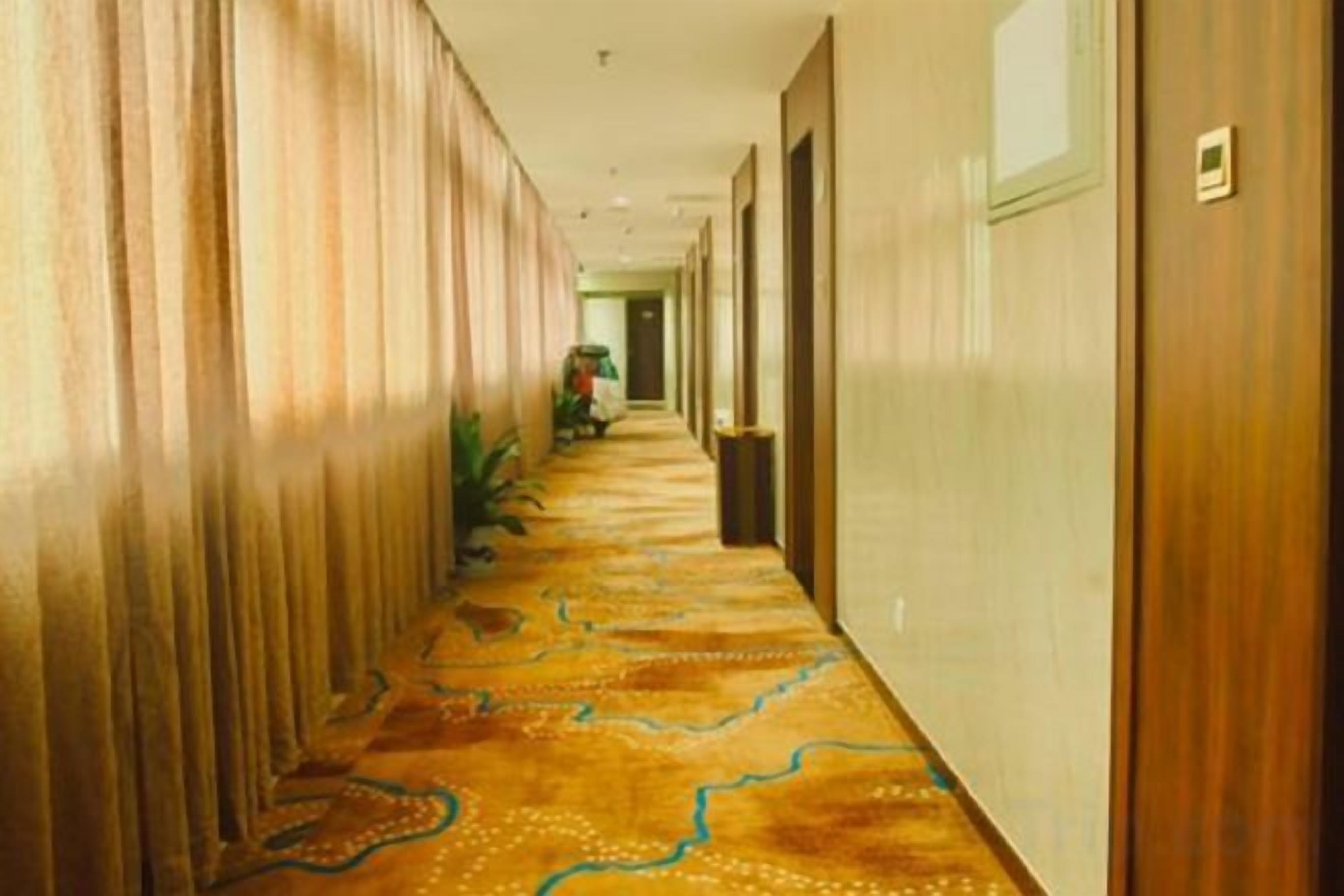 A hotel hallway with a patterned carpet, wooden doors, and a plant.