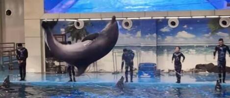 Vista da propriedade