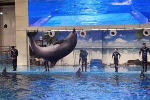 プール