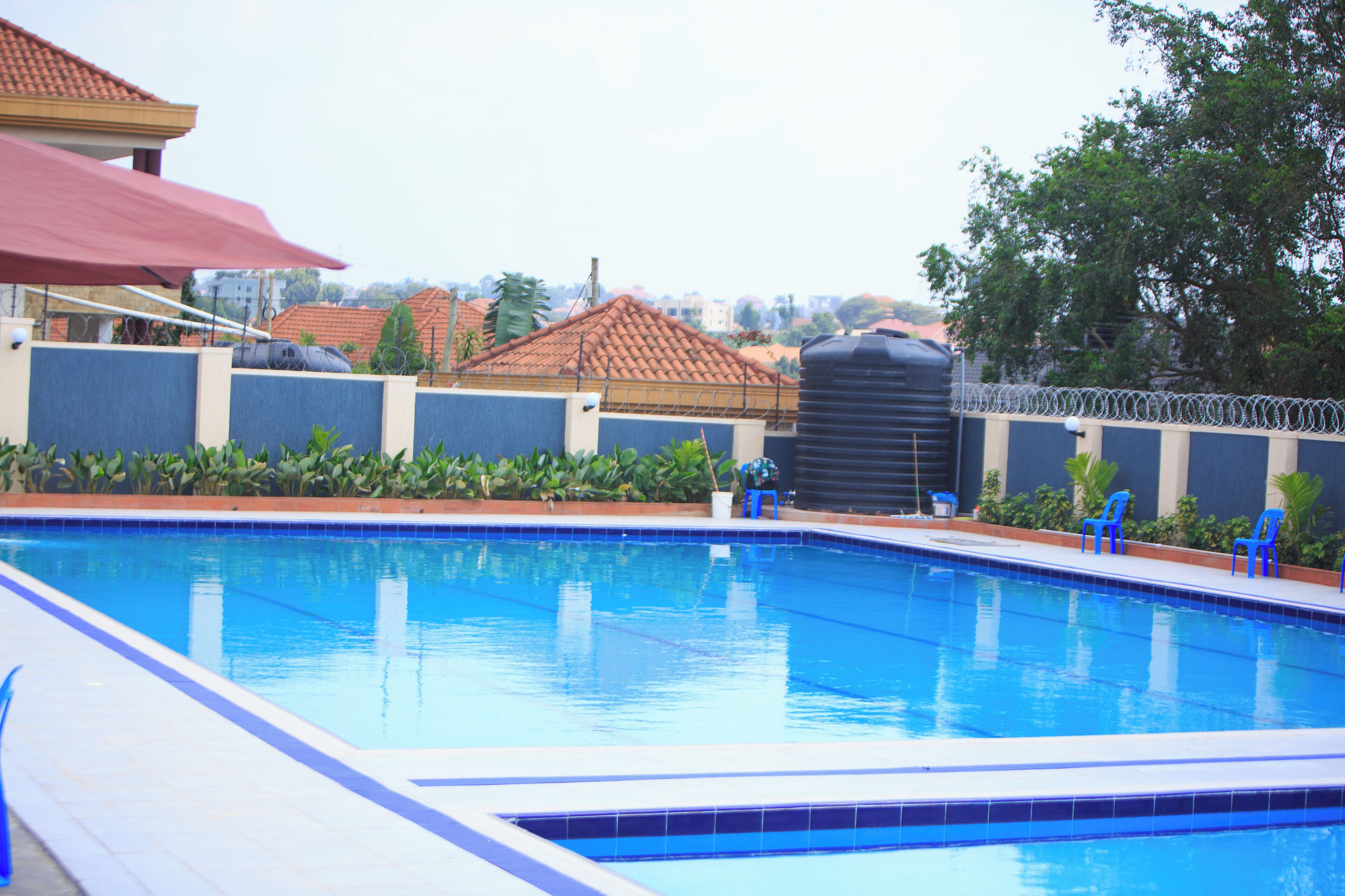 A swimming pool with blue tiles, surrounded by a low wall with plants and a few blue chairs.