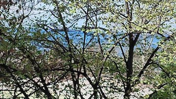 Apartment | View from property
