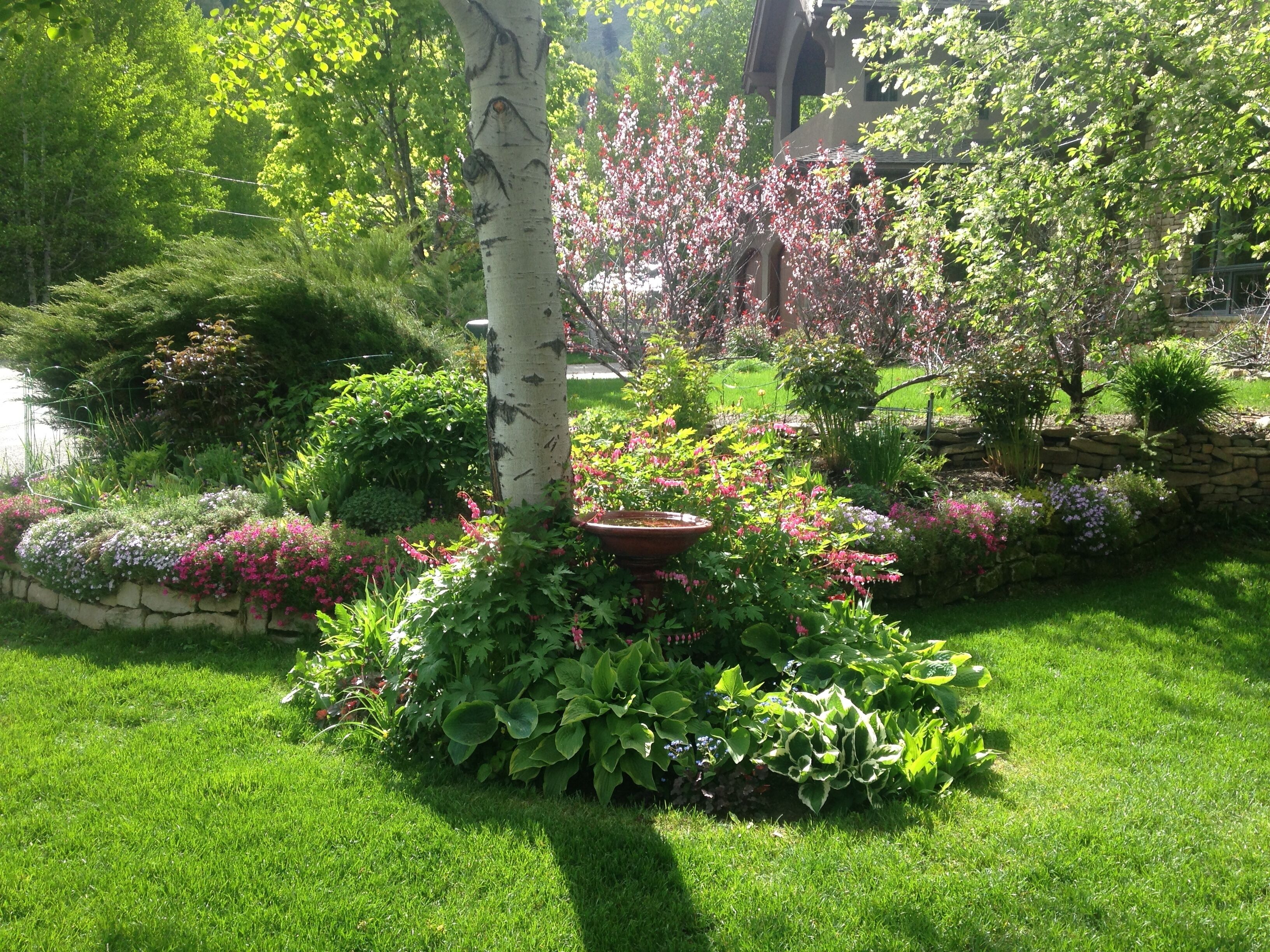 Ein gepflegter Garten mit verschiedenen blühenden Pflanzen und Sträuchern, einer Steinmauer und einem Baum mit weißer Rinde.