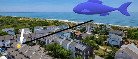 An aerial view of a residential area with houses, a beach, and a large fish graphic.