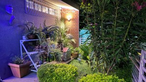 A well-maintained garden with various potted plants and a small white structure.