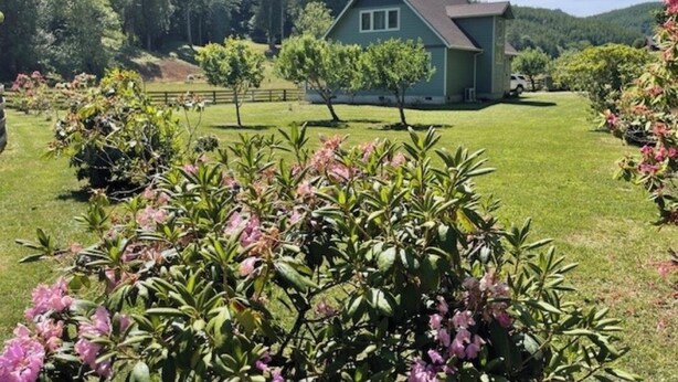 Une maison verte, dotée d’un toit en pente, entourée d’une pelouse bien entretenue et d’arbustes en fleurs.