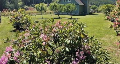 Serene Rural Home Short Drive to Bandon Beaches, Oregon Dunes Recreational Area