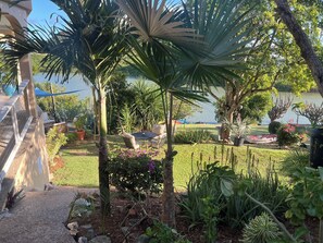 Property grounds - Tranquil relaxing & private 5 bedroom villa on pond w kayaks paddle boards +++ (Cruz Bay)