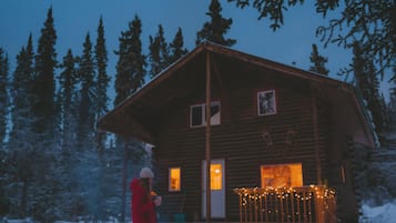 Comfort Cabin, 3 Bedroom, Lake View | Terrace/patio