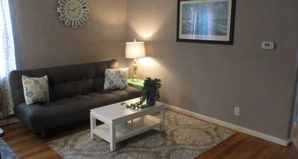 Cozy 1-bedroom apartment on square in Newton