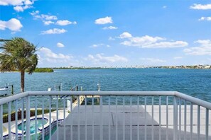 Property grounds - Tropical Island beach Home with pool (Indian Rocks Beach)