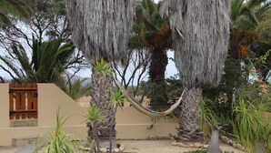 A hammock between palm trees in a landscaped garden with a building in the background. - House a few steps from the beach, Porto Santo (Porto Santo)