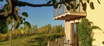 In Langa, UNESCO area 20 km from Alba, country house surrounded by vineyards