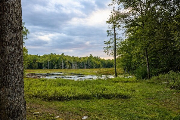 A natural landscape with a river, trees, and grassy areas.