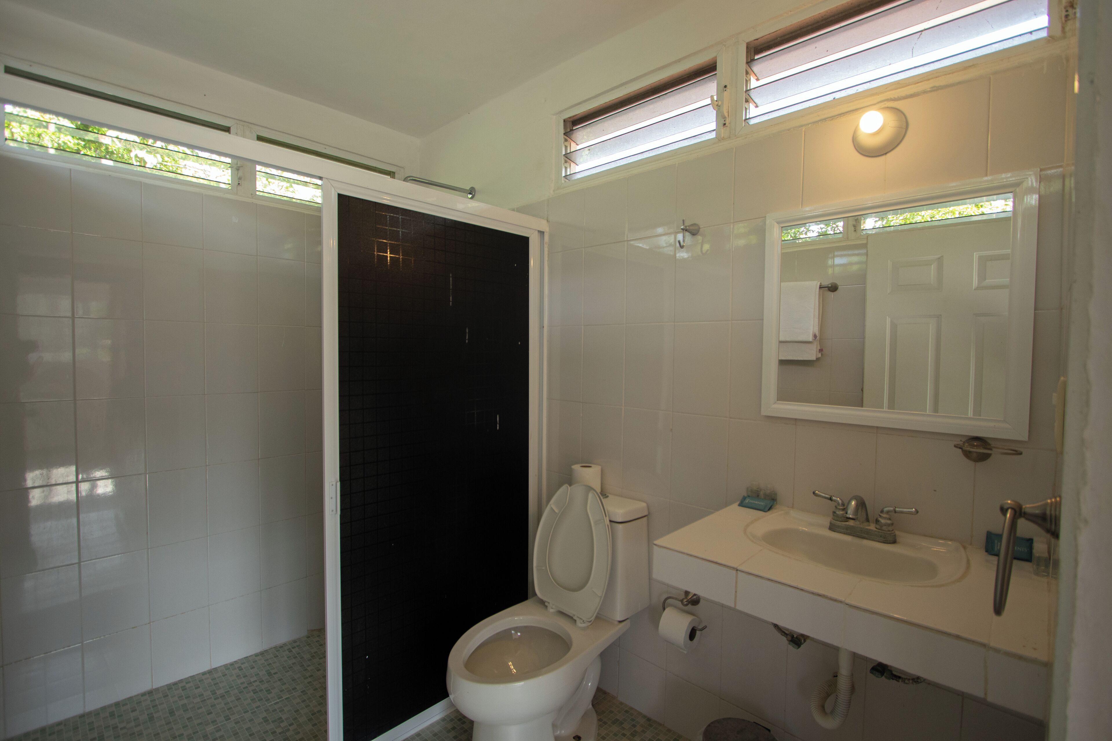 Ein Badezimmer mit Toilette, Waschbecken und Spiegel.