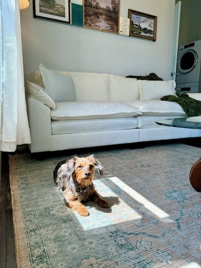 La Petite Maison - Tiny Home in Victoria, TX