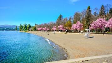 Sun-loungers, beach towels