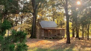 Un chalet rustique entouré d’arbres, doté d’une terrasse en bois et d’un toit en métal.