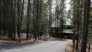 A forested area with a paved road leading to a cabin with a metal roof.