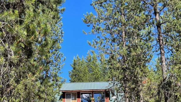 A two-story lodge with a green roof, surrounded by dense forest.