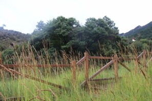 A rustic wooden fence in a grassy field with trees in the background. - Helan Mountain Forest Park Visitor Service Center (Alxa Left Banner)