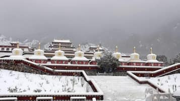 A snow-covered building with multiple domed structures and a central staircase.