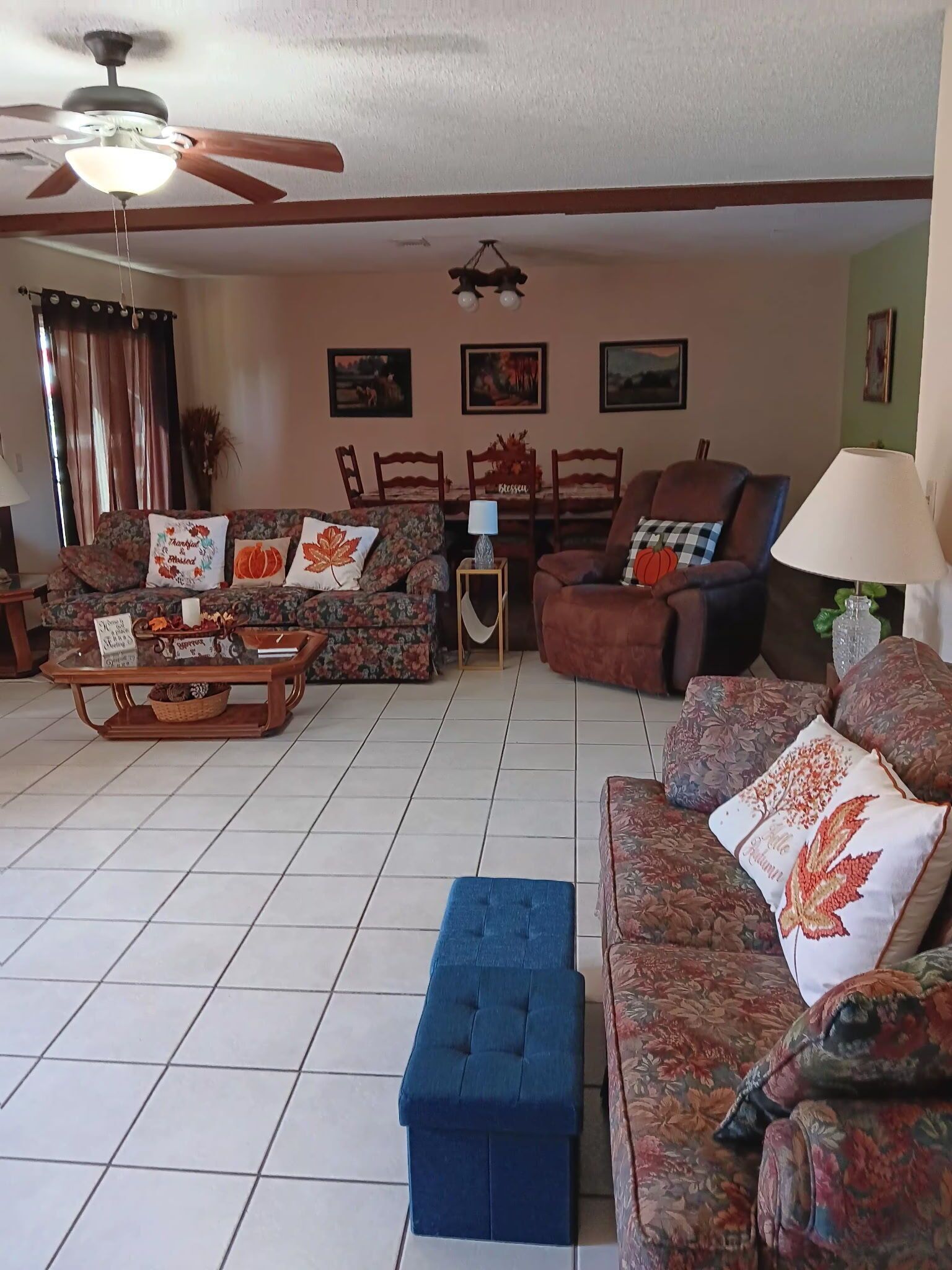 Smart TV, fireplace, DVD player, video library