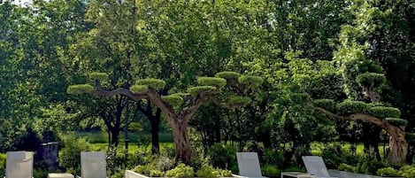 Indoor pool, seasonal outdoor pool, pool umbrellas, pool loungers