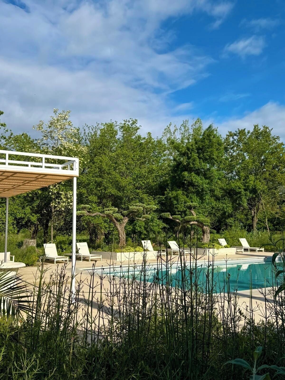 Un área de piscina con sillones de descanso, un espacio de estar cubierto y abundante vegetación.