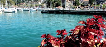 Les Chants de l'Eau - Charming apartment with 2-seater whirlpool bath