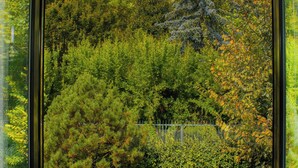 A window with a view of dense green foliage and a distant building. - Panoramic in the Hillside surrounded by greenery (Moncalieri)